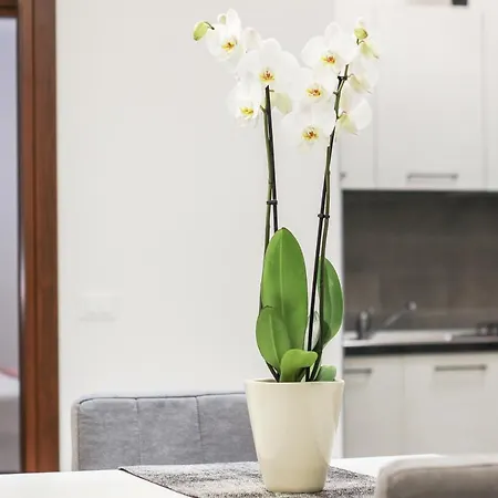 Appartement Al Maso In Centro