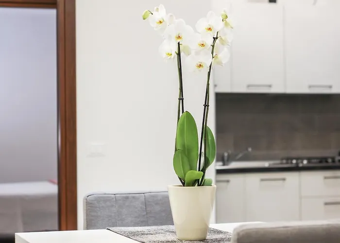 Апартаменты Al Maso In Centro